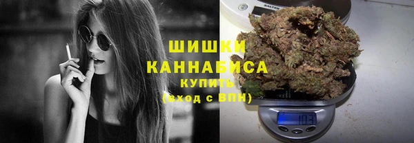 тгк Мегион