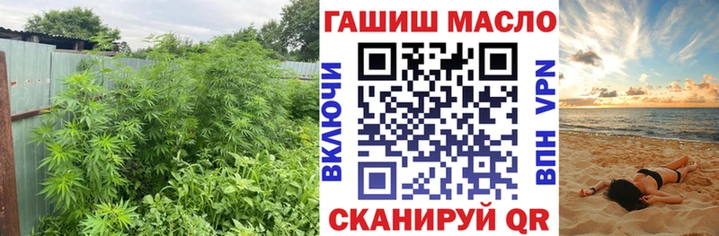 ТГК вейп с тгк  Купить где  Кизел 