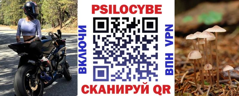 Купить  Кизел  Галлюциногенные грибы прущие грибы 